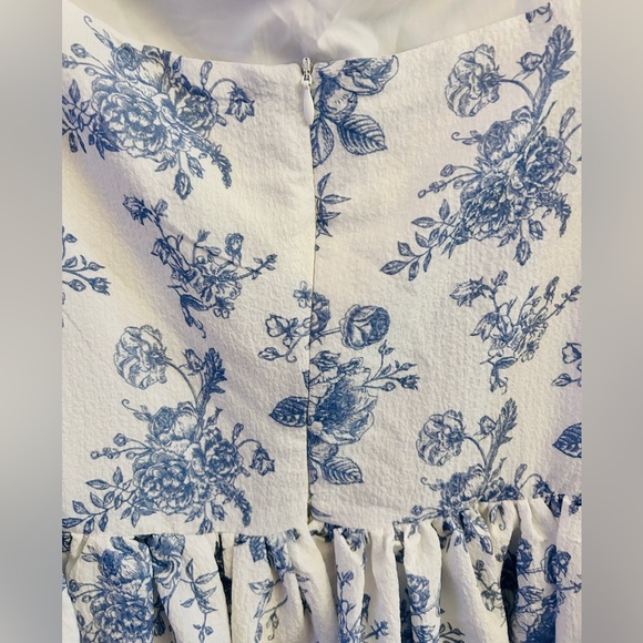 🌿 CIDER Cottage Core Blue Toile Floral Puff Sleeve Mini Dress 2XL - Picture 6 of 10